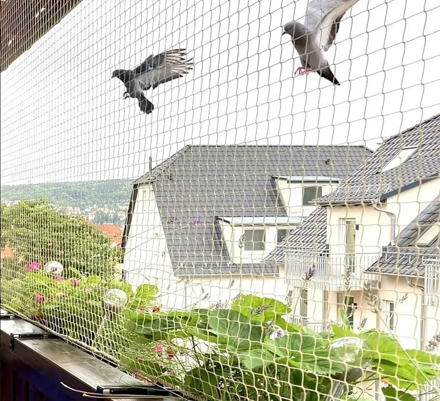 Pigeon Nets Price